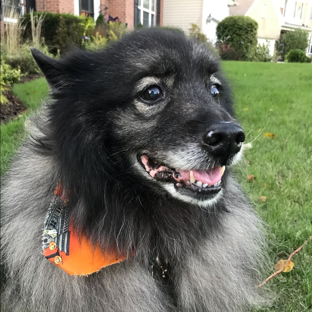 Meet your Posher, Jess